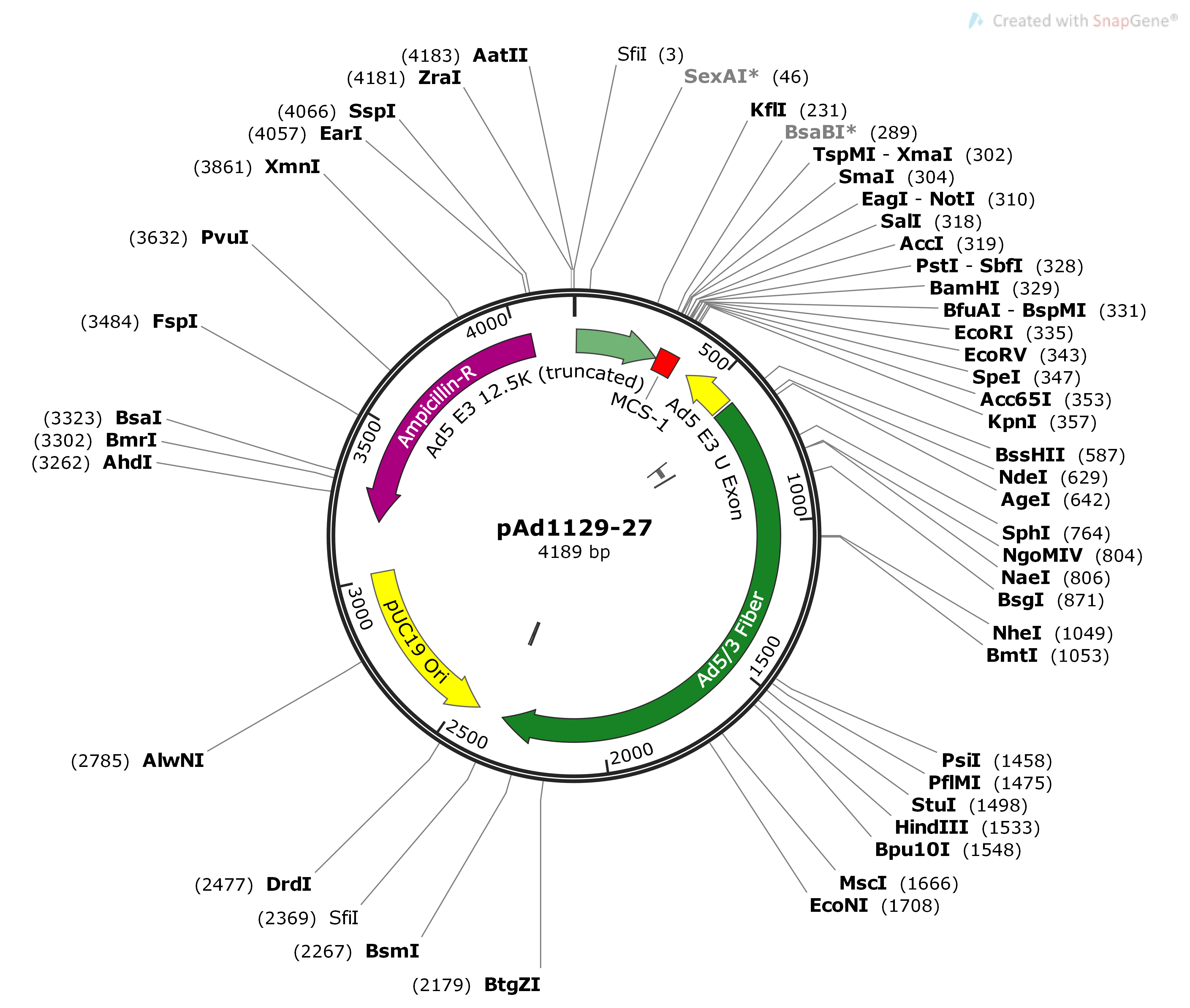 PAd1129 27 OD260 Inc Experts In Adenovirus Vectors